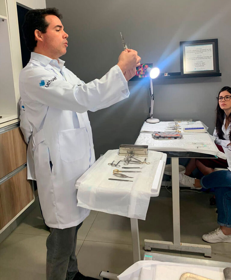 Oftalmocenter Vet promove curso básico de Oftalmologia Veterinária